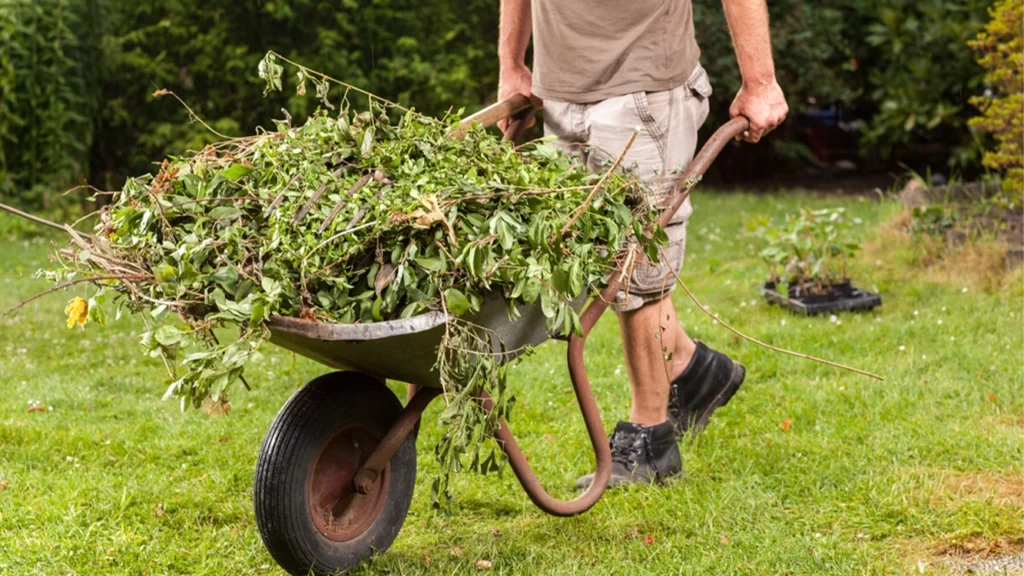 Green Waste Removal Services