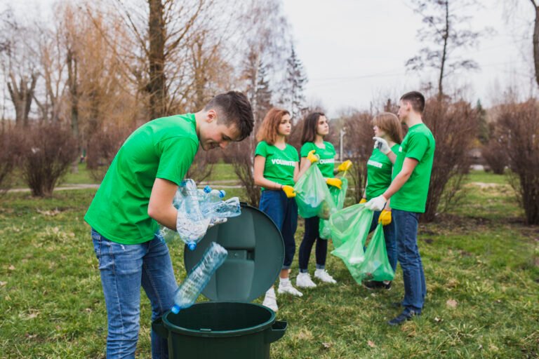 green waste removal services in Vacaville, CA